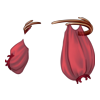 https://www.eldarya.fr/assets/img/item/player//icon/e21fb34d3fb5b9310057aa9194e8044c~1620737104.png